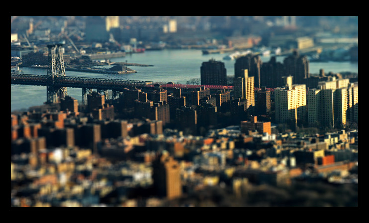 DP Blog
