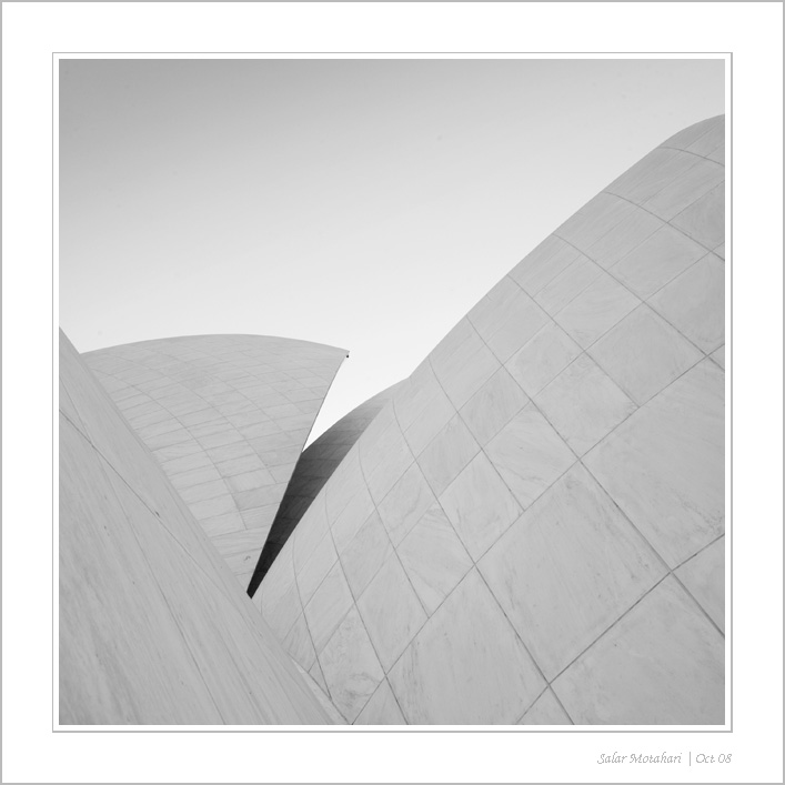 DP Blog