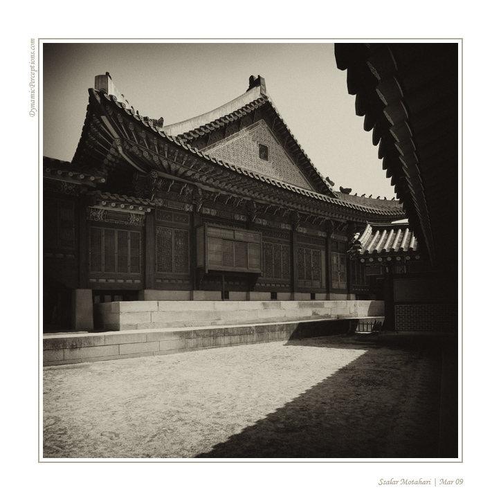DP Blog