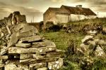 Conspicuous Asylum