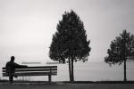 Pairs Observed