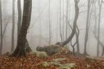 Suddenly Fall 